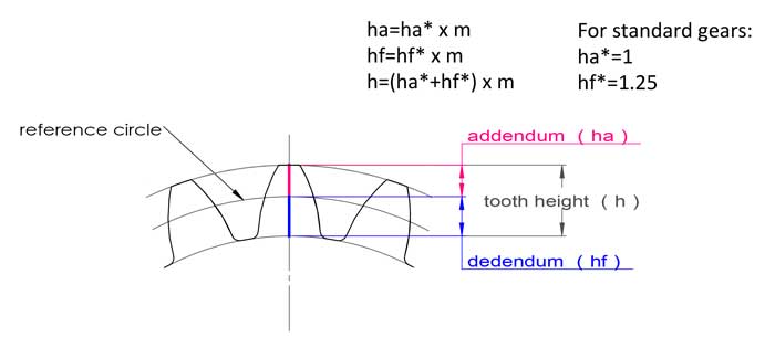 Calculation of Gear Dimensions