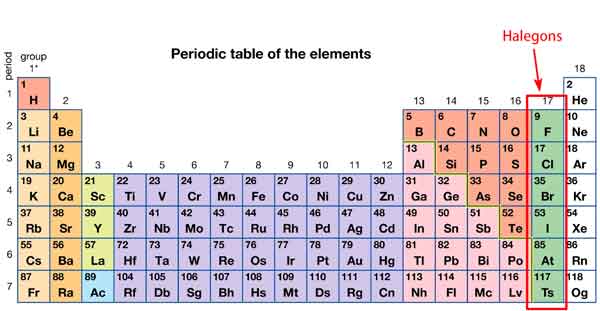 Halogen elements in the periodic table