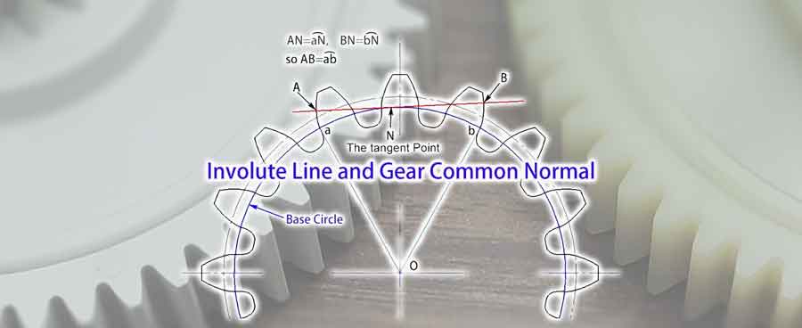 involute and gear common normal guide